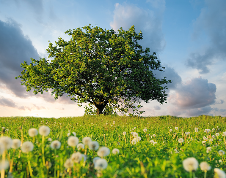 Fusion Financial Group