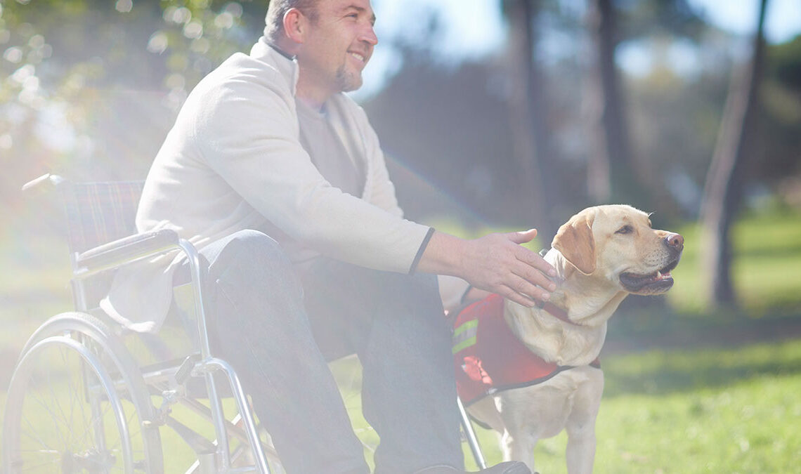 man in a wheelchair with a service dog