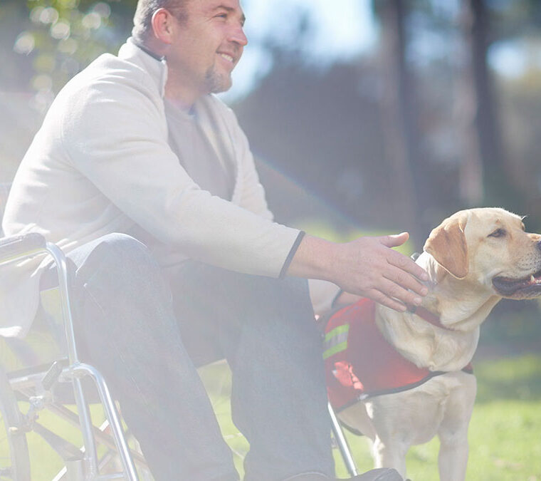 man in a wheelchair with a service dog